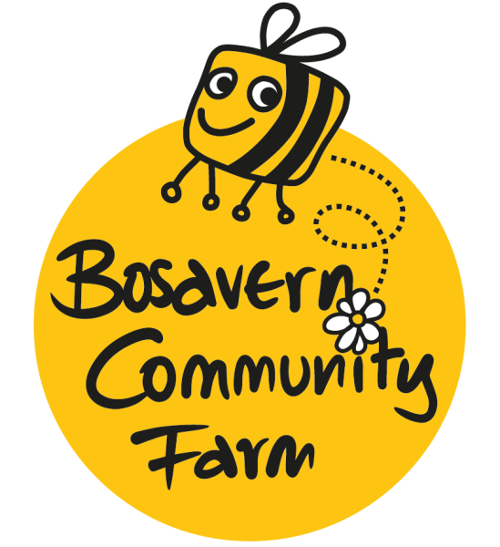 Thursday Veg Box Harvesting and Packing - Bosavern Community Farm