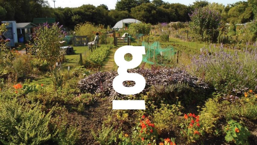 The Community Garden