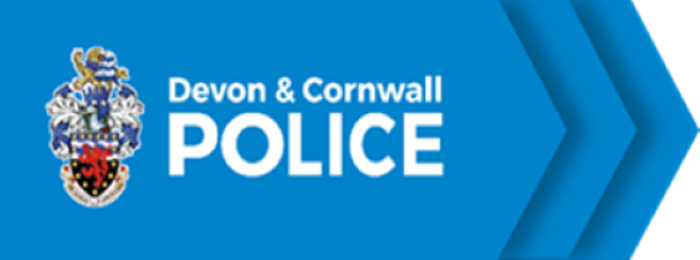 Positive Action Engagement Volunteer
