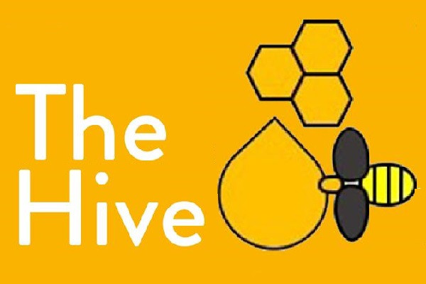 The Hive Cornwall