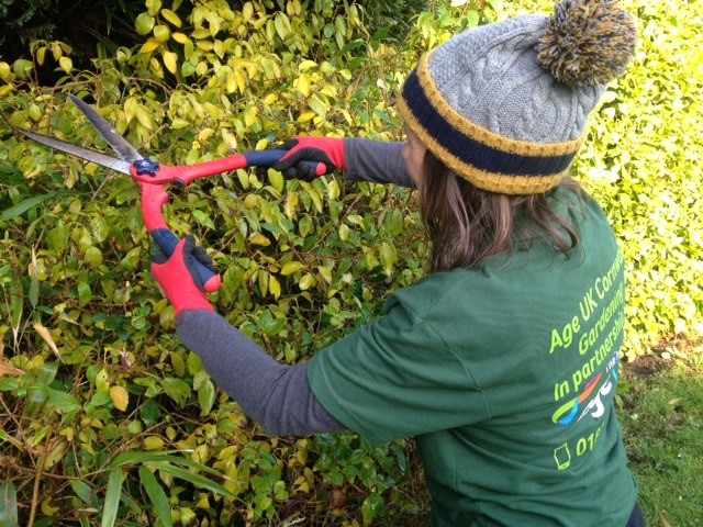 An Age UK Cornwall gardener. 