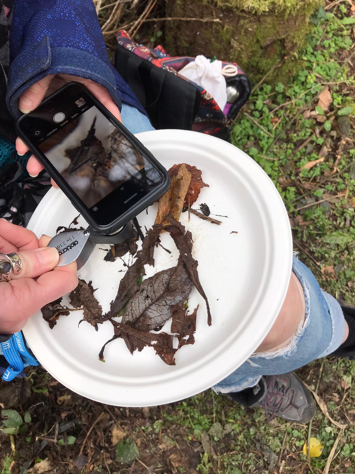 using smartphone-linked microscope to explore nature